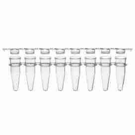 Pcr Tubes And Strips