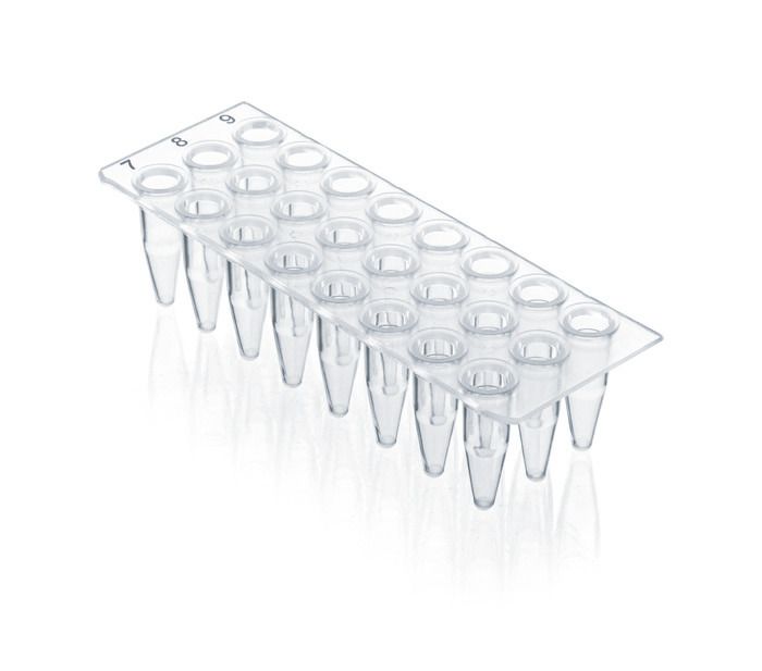 PCR plate 24-well, PP, 0.2 ml, without skirt, BIO-CERT® PCR QUALITY