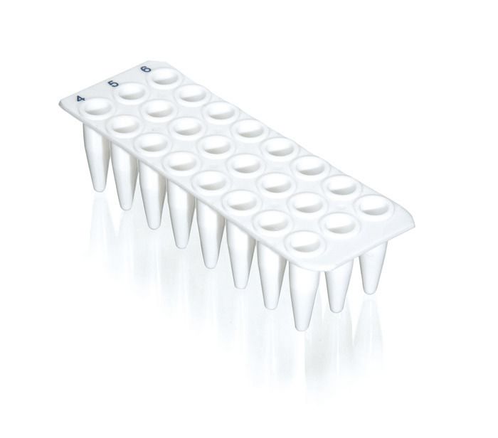 PCR plate 24-well, PP, 0.2 ml, without skirt, BIO-CERT® PCR QUALITY — standard