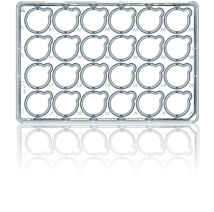Multi-well BRANDplates® for inserts, cellGradeTM plus, with lid, BIO-CERT® CELL CULTURE QUALITY, sterile — inserts 24-well