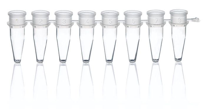PCR strips, PP, BIO-CERT® PCR QUALITY — strips of 8