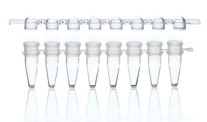 PCR strips, PP, BIO-CERT® PCR QUALITY — strips of 8