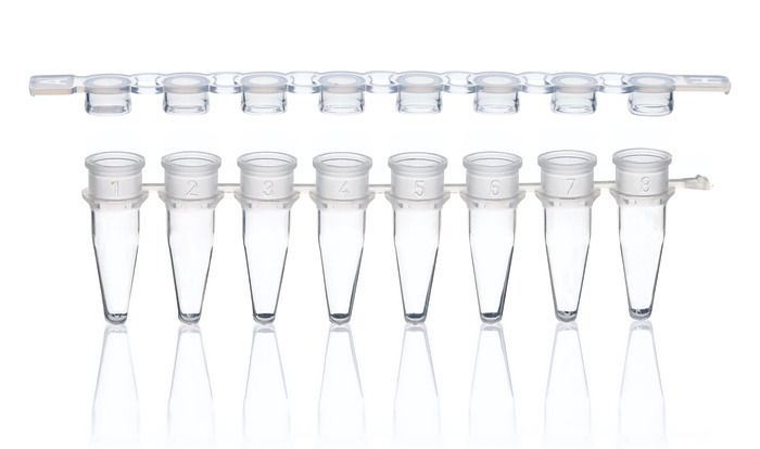 PCR strips, PP, BIO-CERT® PCR QUALITY — strips of 8