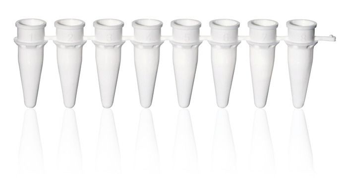 PCR strips, PP, BIO-CERT® PCR QUALITY — strips of 8