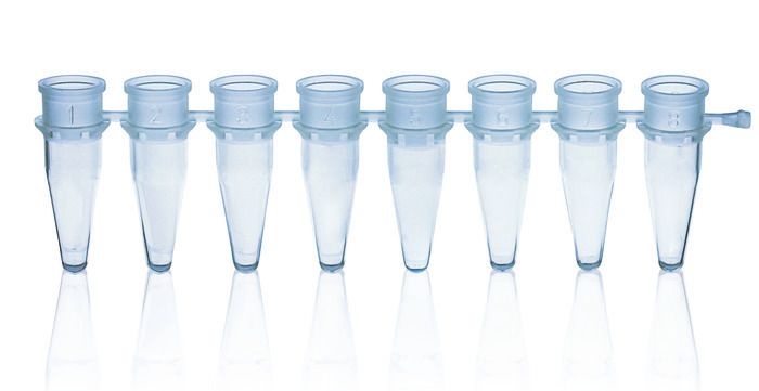 PCR strips, PP, BIO-CERT® PCR QUALITY — strips of 8