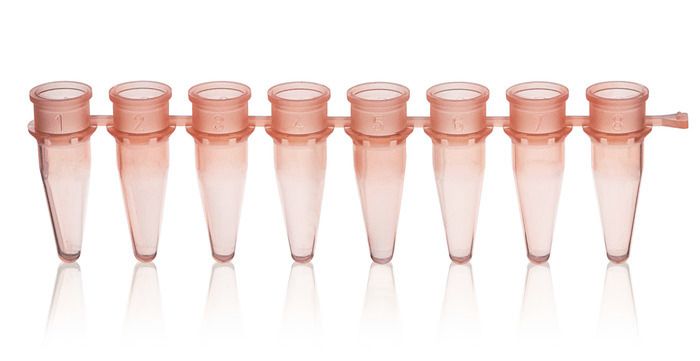 PCR strips, PP, BIO-CERT® PCR QUALITY — strips of 8