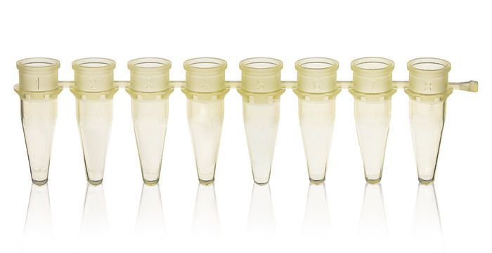 PCR strips, PP, BIO-CERT® PCR QUALITY — strips of 8