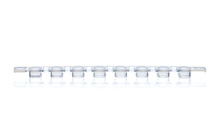 PCR Cap strips, PP, BIO-CERT® PCR QUALITY — strips of 8