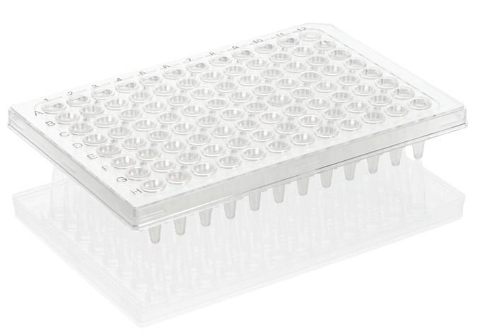 PCR plate 96-well, Rigid Frame, PC/PP, BIO-CERT® PCR QUALITY — standard