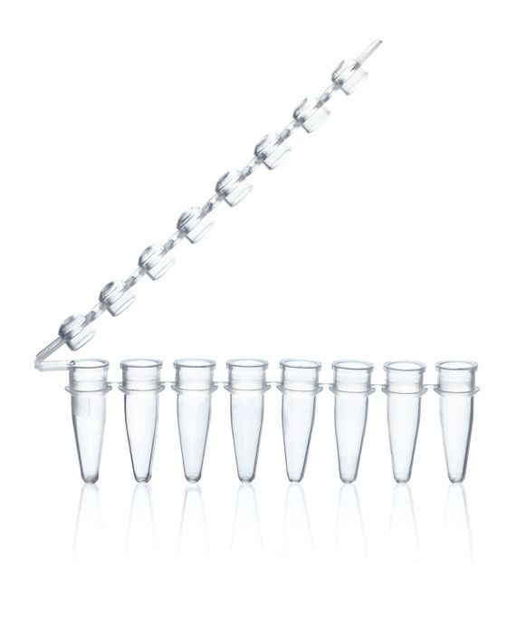 PCR strips, PP, BIO-CERT® PCR QUALITY — strips of 8
