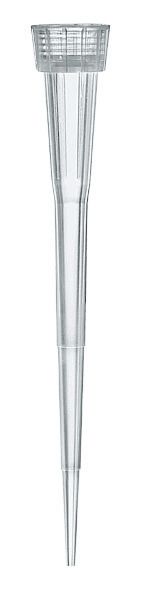 Pipette tips, 0.5 - 20 μl, PP, colorless